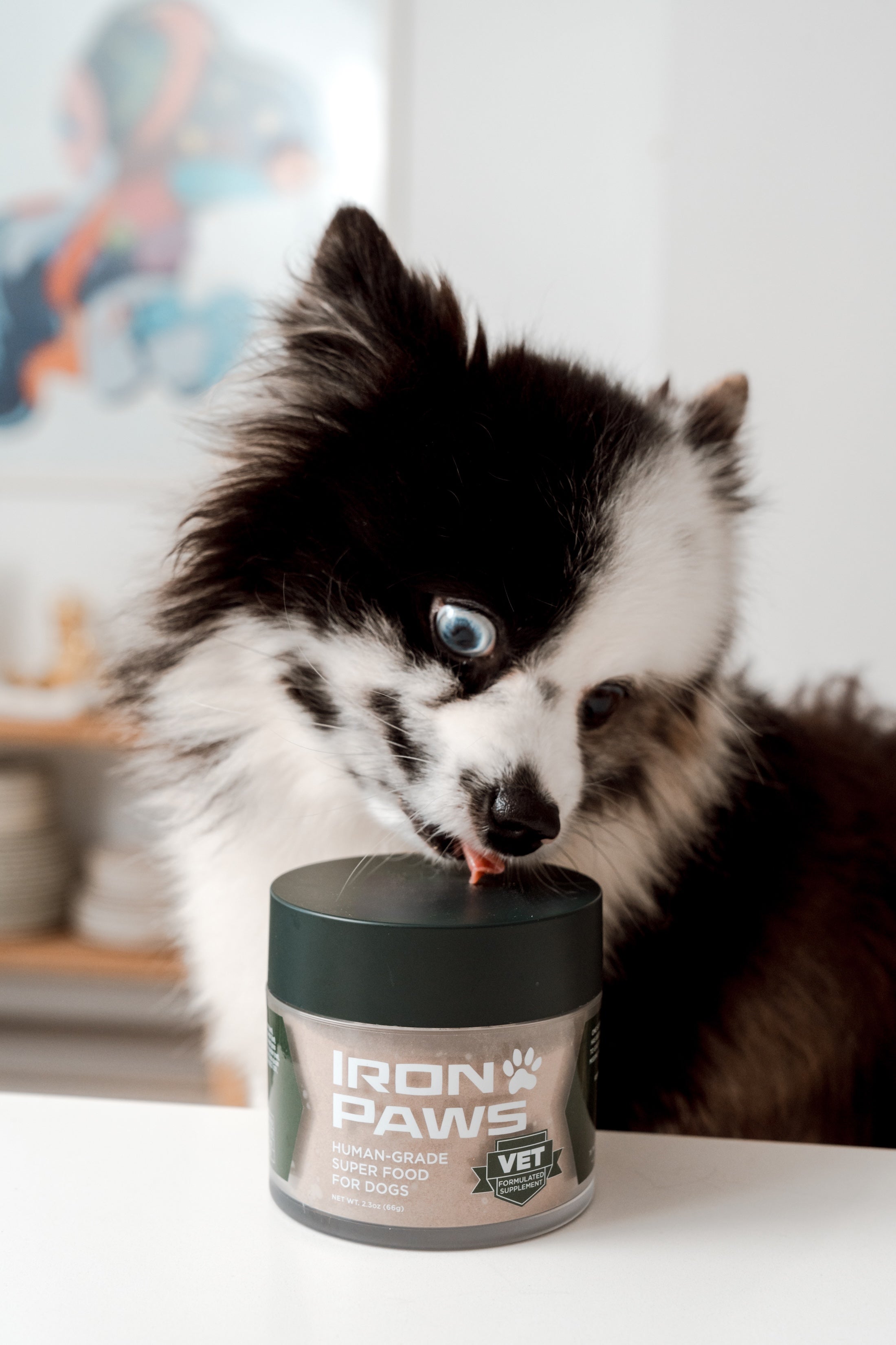 Iron Paws Premium Dog Supplement