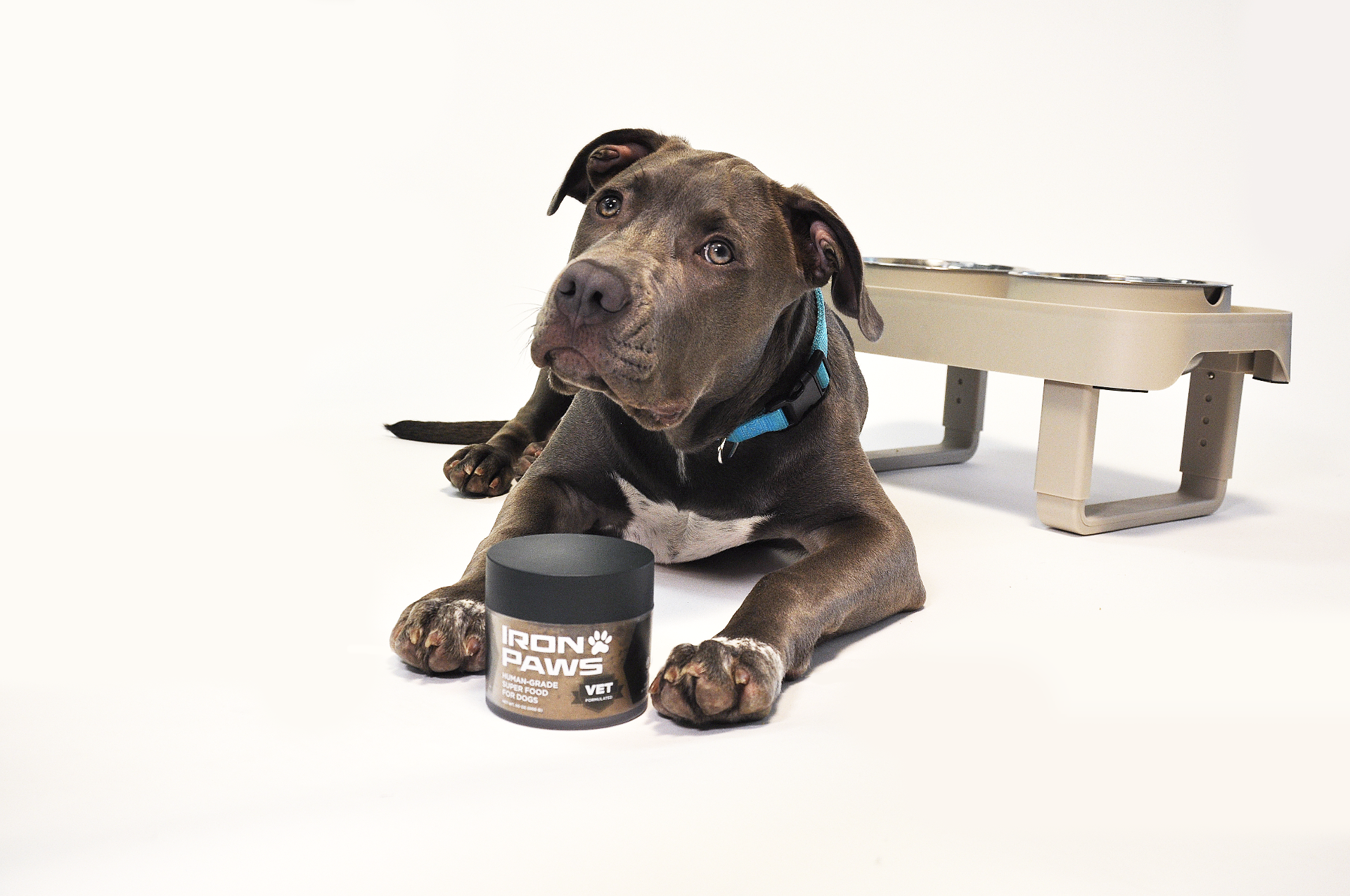 Iron Paws dog supplement view 5 - Premium quality supplement for your dog's health