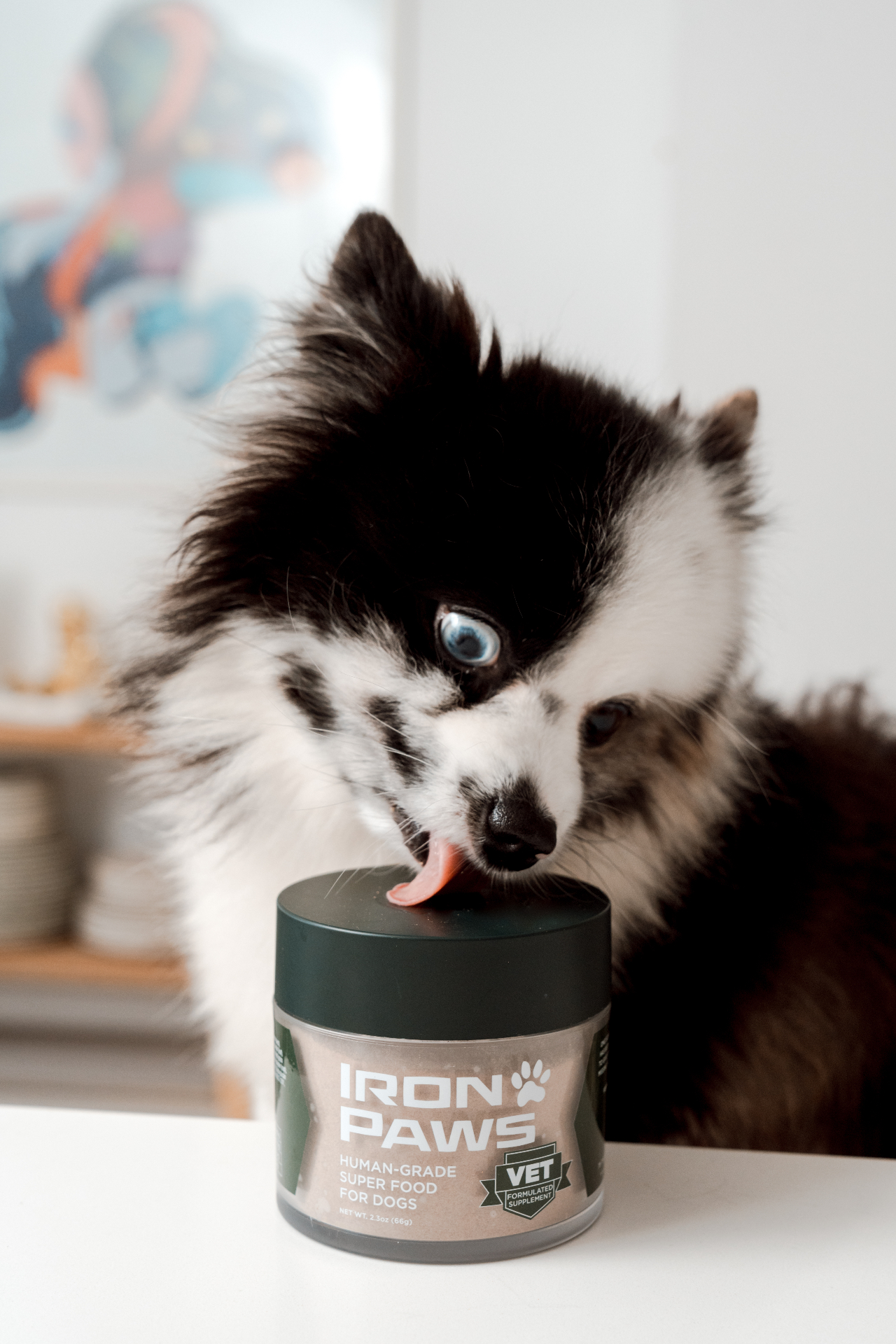 Iron Paws dog supplement view 2 - Premium quality supplement for your dog's health